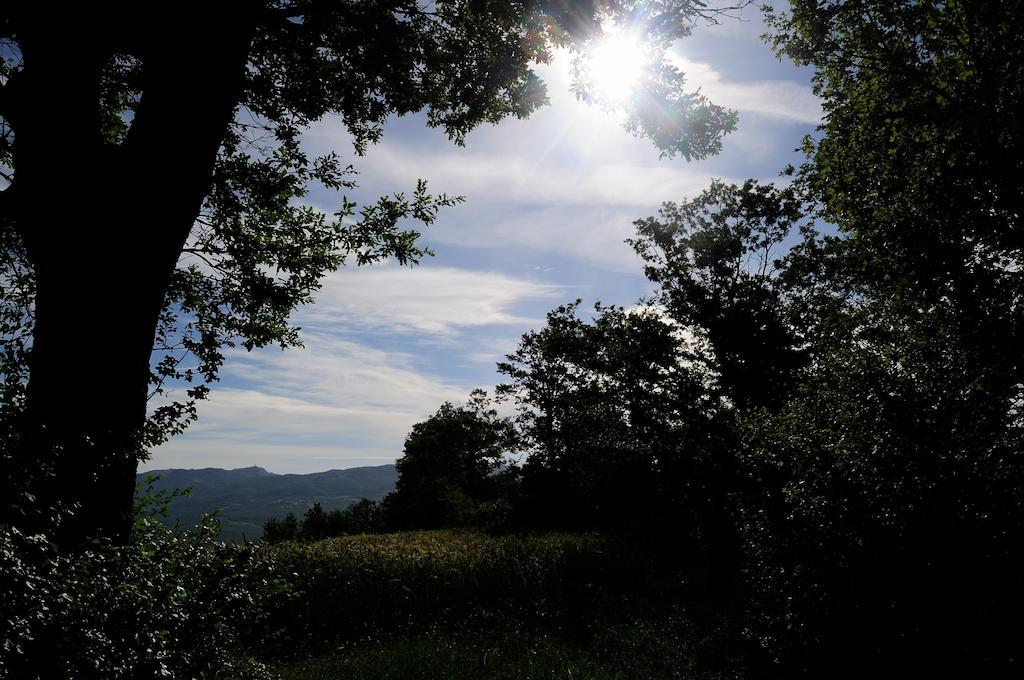 Agriturismo I Monti Semproniano Dış mekan fotoğraf