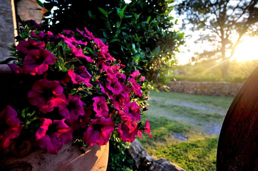 Agriturismo I Monti Semproniano Oda fotoğraf
